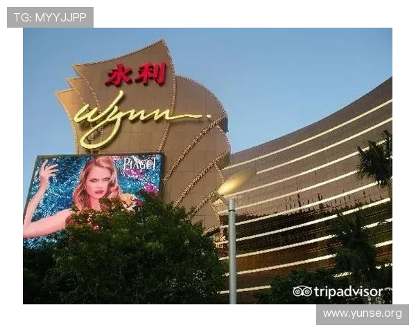 澳门永利官方登陆促销信息一览，抓住每一次难得的优惠机会