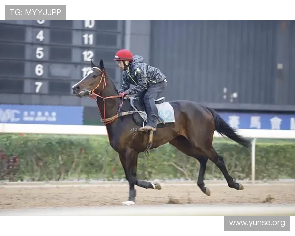 2020澳门赛马赛事时间安排及赛程安排最新信息一览