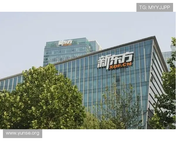 新东方置地：如何利用品牌优势实现网络游戏市场的持续增长与用户粘性提升